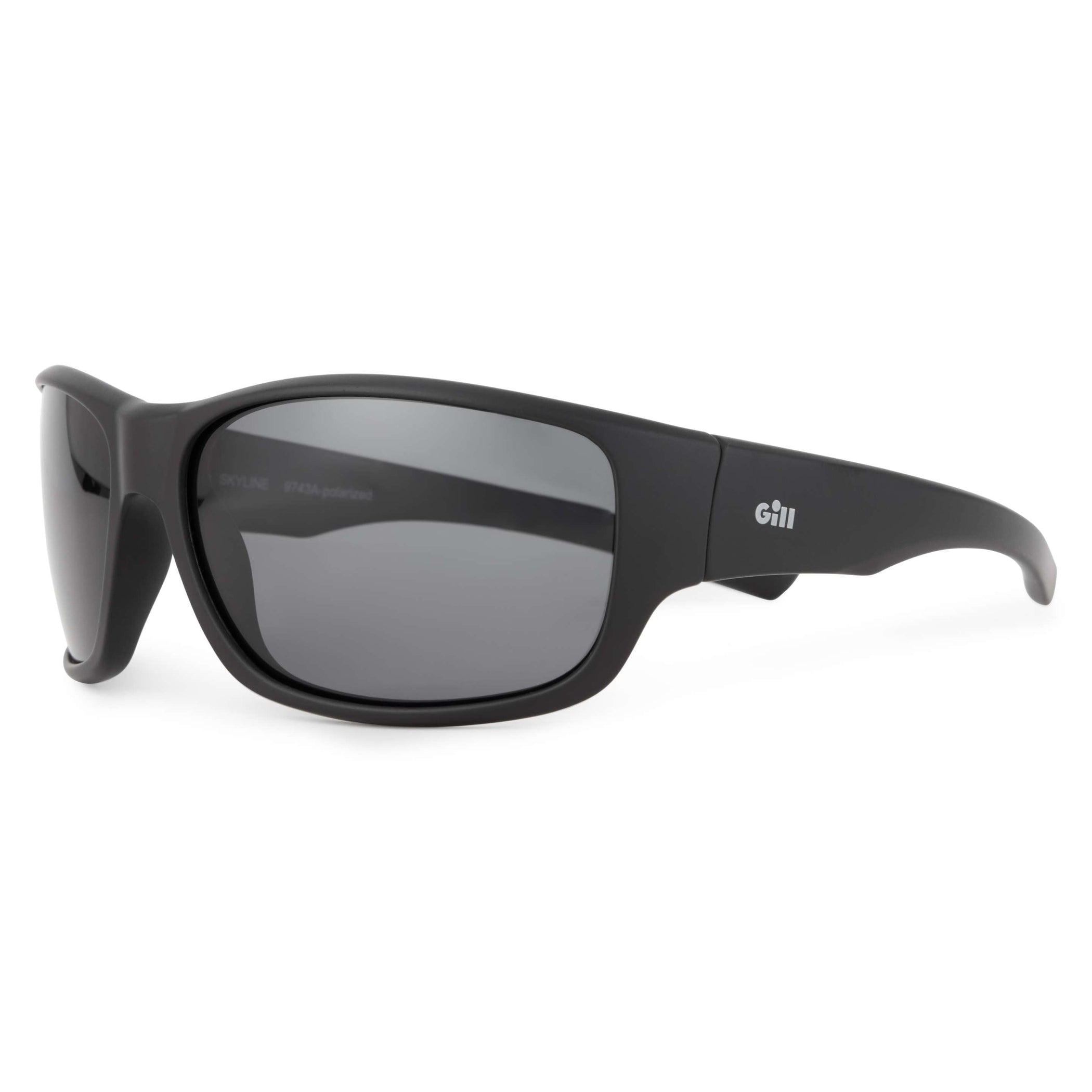 Skyline Sunglasses - Matt Black